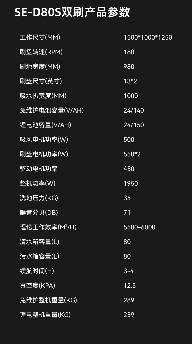 SE-D80S_10.jpg