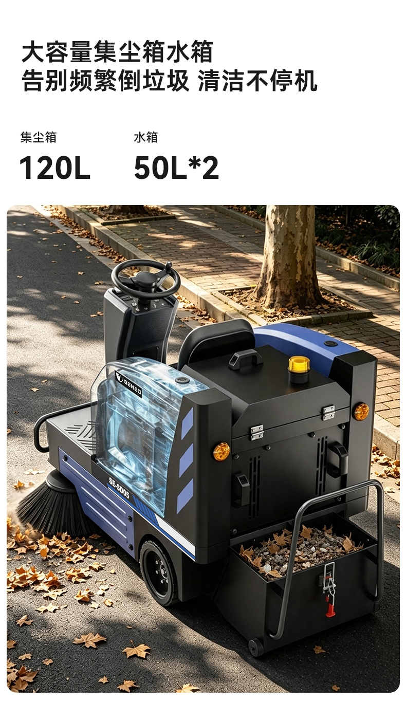SE-SD04_03.jpg