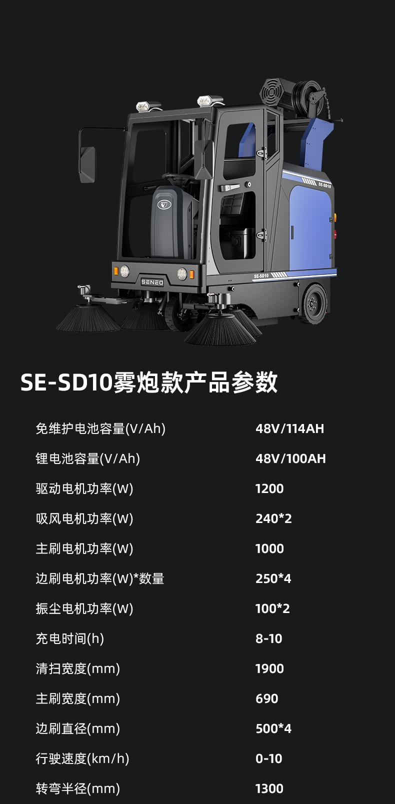SE-SD10_11.jpg