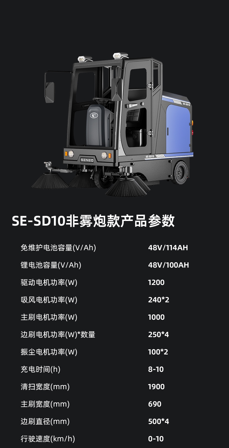 SE-SD10_13.jpg