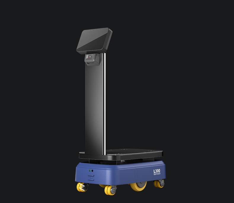 SE-MD08_08.jpg
